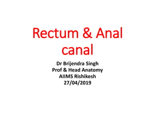 Rectum & Anal
canal
Dr Brijendra Singh
Prof & Head Anatomy
AIIMS Rishikesh
27/04/2019
 