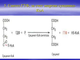 5. Синтез ГТФ, за счет энергии сукцинил-
КоА
 