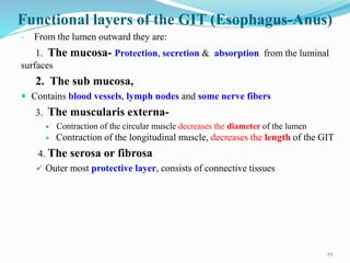 Functional layers of the GIT (Esophagus-Anus)
- From the lumen outward they are:
1. The mucosa- Protection, secretion & absorption from the luminal
surfaces
2. The sub mucosa,
 Contains blood vessels, lymph nodes and some nerve fibers
3. The muscularis externa-
 Contraction of the circular muscle decreases the diameter of the lumen
 Contraction of the longitudinal muscle, decreases the length of the GIT
4. The serosa or fibrosa
 Outer most protective layer, consists of connective tissues
10
 