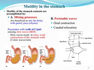 Motility in the stomach
 Motility of the stomach contents are
accomplished by:
 A. Mixing processes
- Are beneficial to mix the bolus
with gastric juice (chyme)
Pacemaker cells (cells of Cajal)
causing slow waves (BER)
- Slow waves result in tonic, weak
contractions of the stomach walls
(3 slow waves/min)
B. Peristaltic waves
 Orad contraction
 Caudad relaxation
21
 