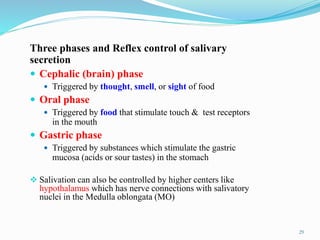 Three phases and Reflex control of salivary
secretion
 Cephalic (brain) phase
 Triggered by thought, smell, or sight of food
 Oral phase
 Triggered by food that stimulate touch & test receptors
in the mouth
 Gastric phase
 Triggered by substances which stimulate the gastric
mucosa (acids or sour tastes) in the stomach
 Salivation can also be controlled by higher centers like
hypothalamus which has nerve connections with salivatory
nuclei in the Medulla oblongata (MO)
29
 