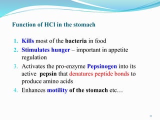 Function of HCl in the stomach
1. Kills most of the bacteria in food
2. Stimulates hunger – important in appetite
regulation
3. Activates the pro-enzyme Pepsinogen into its
active pepsin that denatures peptide bonds to
produce amino acids
4. Enhances motility of the stomach etc…
32
 