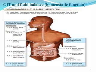 GIT and fluid balance (homeostatic function)
7
 
