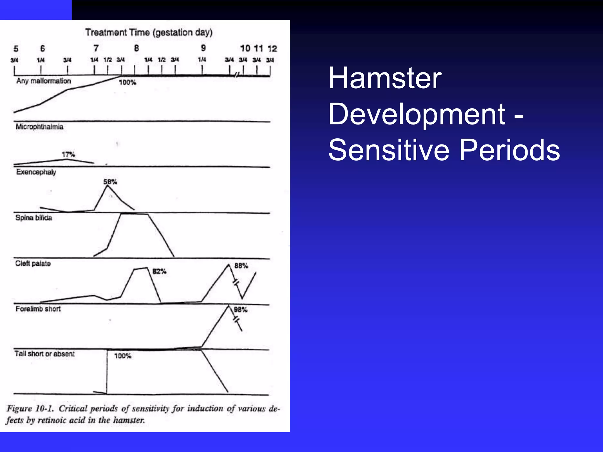 Hamster
Development -
Sensitive Periods
 