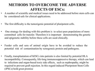 METHODS TO OVERCOME THE ADVERSE
AFFECTS OF ESCs:
• A number of scientific and medical issues need to be addressed before stem cells can
be considered safe for clinical applications.
• The first difficulty is the tumorigenic potential of pluripotent cells.
• One strategy for dealing with this problem is to select pure populations of more
committed cells for transfer. Therefore it is important demonstrating the genetic
and epigenetic stability before these cells are used clinically.
• Feeder cells and sera of animal origin have to be avoided to reduce the
potential risk of contamination by xenogeneic protein and pathogens.
• Finally, transplantation of hESCs into patients is also limited by potential HLA
incompatibility. Consequently, life-long immunosuppressive therapy, which can lead
to infections and organ-based toxic side effects, such as nephropathy, might be
required to prevent graft rejection. In this regard induced Pluripotent Stem Cells
(iPSCs) hold great promise
 