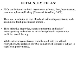 FETAL STEM CELLS:
• FSCs can be found in foetal tissues such as blood, liver, bone marrow,
pancreas, spleen and kidney (Marcus & Woodbury 2008).
• They are also found in cord blood and extraembryonic tissues such
as amniotic fluid, placenta and amnion .
• Their primitive properties, expansion potential and lack of
tumorogenicity make them an attractive option for regenerative
medicine in cell therapy.
• While extraembryonic tissues could be used with few ethical
reservations, the isolation of FSCs from aborted foetuses is subject to
significant public unease.
 