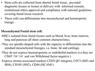 • Stem cells are collected from abortal foetal tissue, pre-natal
diagnostic tissues or tissues at delivery with informed consent,
institutional ethics approval and compliance with national guidelines
covering foetal tissue research.
• These cells can differentiate into mesenchymal and hematopoitic
lineage .
Mesenchymal Foetal stem cell:
-MSCs isolated from foetal tissues such as blood, liver, bone marrow,
lung and pancreas all share common characteristics.
-They are spindle-shaped cells with the capacity to differentiate into the
standard mesenchymal lineages, i.e. bone, fat and cartilage.
-They do not express haematopoietic or endothelial markers (i.e they are
CD45−/34−/14− and von Willebrand factor negative )
-Express stroma-associated markers CD29 (β1-integrin), CD73 (SH3 and
SH4), CD105 (SH2), CD44 (HCAM1)
 