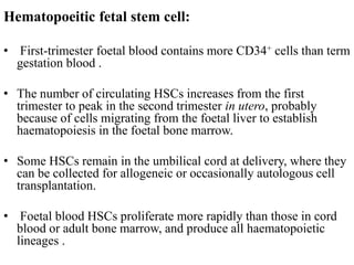 Hematopoeitic fetal stem cell:
• First-trimester foetal blood contains more CD34+ cells than term
gestation blood .
• The number of circulating HSCs increases from the first
trimester to peak in the second trimester in utero, probably
because of cells migrating from the foetal liver to establish
haematopoiesis in the foetal bone marrow.
• Some HSCs remain in the umbilical cord at delivery, where they
can be collected for allogeneic or occasionally autologous cell
transplantation.
• Foetal blood HSCs proliferate more rapidly than those in cord
blood or adult bone marrow, and produce all haematopoietic
lineages .
 