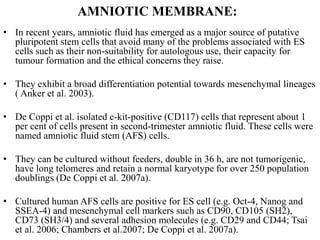 AMNIOTIC MEMBRANE:
• In recent years, amniotic fluid has emerged as a major source of putative
pluripotent stem cells that avoid many of the problems associated with ES
cells such as their non-suitability for autologous use, their capacity for
tumour formation and the ethical concerns they raise.
• They exhibit a broad differentiation potential towards mesenchymal lineages
( Anker et al. 2003).
• De Coppi et al. isolated c-kit-positive (CD117) cells that represent about 1
per cent of cells present in second-trimester amniotic fluid. These cells were
named amniotic fluid stem (AFS) cells.
• They can be cultured without feeders, double in 36 h, are not tumorigenic,
have long telomeres and retain a normal karyotype for over 250 population
doublings (De Coppi et al. 2007a).
• Cultured human AFS cells are positive for ES cell (e.g. Oct-4, Nanog and
SSEA-4) and mesenchymal cell markers such as CD90, CD105 (SH2),
CD73 (SH3/4) and several adhesion molecules (e.g. CD29 and CD44; Tsai
et al. 2006; Chambers et al.2007; De Coppi et al. 2007a).
 