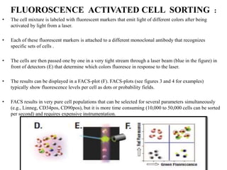 FLUOROSCENCE ACTIVATED CELL SORTING :
• The cell mixture is labeled with fluorescent markers that emit light of different colors after being
activated by light from a laser.
• Each of these fluorescent markers is attached to a different monoclonal antibody that recognizes
specific sets of cells .
• The cells are then passed one by one in a very tight stream through a laser beam (blue in the figure) in
front of detectors (E) that determine which colors fluoresce in response to the laser.
• The results can be displayed in a FACS-plot (F). FACS-plots (see figures 3 and 4 for examples)
typically show fluorescence levels per cell as dots or probability fields.
• FACS results in very pure cell populations that can be selected for several parameters simultaneously
(e.g., Linneg, CD34pos, CD90pos), but it is more time consuming (10,000 to 50,000 cells can be sorted
per second) and requires expensive instrumentation.
 