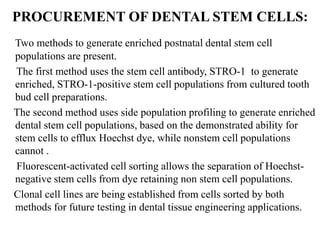 PROCUREMENT OF DENTAL STEM CELLS:
Two methods to generate enriched postnatal dental stem cell
populations are present.
The first method uses the stem cell antibody, STRO-1 to generate
enriched, STRO-1-positive stem cell populations from cultured tooth
bud cell preparations.
The second method uses side population profiling to generate enriched
dental stem cell populations, based on the demonstrated ability for
stem cells to efflux Hoechst dye, while nonstem cell populations
cannot .
Fluorescent-activated cell sorting allows the separation of Hoechst-
negative stem cells from dye retaining non stem cell populations.
Clonal cell lines are being established from cells sorted by both
methods for future testing in dental tissue engineering applications.
 