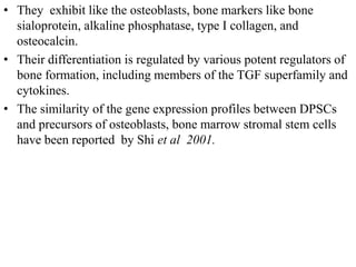 • They exhibit like the osteoblasts, bone markers like bone
sialoprotein, alkaline phosphatase, type I collagen, and
osteocalcin.
• Their differentiation is regulated by various potent regulators of
bone formation, including members of the TGF superfamily and
cytokines.
• The similarity of the gene expression profiles between DPSCs
and precursors of osteoblasts, bone marrow stromal stem cells
have been reported by Shi et al 2001.
 