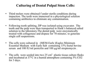 Culturing of Dental Pulpal Stem Cells:
• Third molars were obtained f under sterile conditions during
impaction. The teeth were immersed in a physiological solution
containing antibiotics to eliminate any contamination.
• Following tooth splitting, DP was isolated using excavator. The
tooth and the pulp were then transported in Hank’s balanced salted
solution to the laboratory.The dental pulp were enzymatically
treated with collagenase and dispase for 70 minutes. to generate
single cell suspensions.
• The cells were cultured in (MEM-Earle )Eagles Minimum
Essential Medium with Earle Salt containing 15% foetal bovine
serum and 100 IU/ml penicilin and 100 µg/ml streptomycin .
• The cells were seeded into two 25 cm2 plastic tissue culture flasks
and incubated at 37°C in a humid atmosphere containing 5% CO2
for 3 days.
 