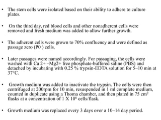 • The stem cells were isolated based on their ability to adhere to culture
plates.
• On the third day, red blood cells and other nonadherent cells were
removed and fresh medium was added to allow further growth.
• The adherent cells were grown to 70% confluency and were defined as
passage zero (P0 ) cells.
• Later passages were named accordingly. For passaging, the cells were
washed with Ca 2+ –Mg2+ free phosphate-buffered saline (PBS) and
detached by incubating with 0.25 % trypsin-EDTA solution for 5–10 min at
37°C.
• Growth medium was added to inactivate the trypsin. The cells were then
centrifuged at 200rpm for 10 min, resuspended in 1 ml complete medium,
counted in duplicate using a Thoma chamber, and then plated in 75 cm2
flasks at a concentration of 1 X 106 cells/flask.
• Growth medium was replaced every 3 days over a 10–14 day period.
 