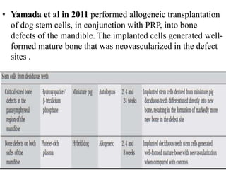 • Yamada et al in 2011 performed allogeneic transplantation
of dog stem cells, in conjunction with PRP, into bone
defects of the mandible. The implanted cells generated well-
formed mature bone that was neovascularized in the defect
sites .
 