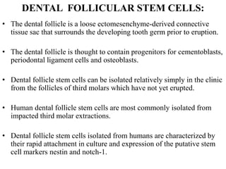 DENTAL FOLLICULAR STEM CELLS:
• The dental follicle is a loose ectomesenchyme-derived connective
tissue sac that surrounds the developing tooth germ prior to eruption.
• The dental follicle is thought to contain progenitors for cementoblasts,
periodontal ligament cells and osteoblasts.
• Dental follicle stem cells can be isolated relatively simply in the clinic
from the follicles of third molars which have not yet erupted.
• Human dental follicle stem cells are most commonly isolated from
impacted third molar extractions.
• Dental follicle stem cells isolated from humans are characterized by
their rapid attachment in culture and expression of the putative stem
cell markers nestin and notch-1.
 