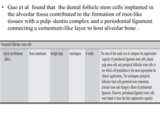 • Guo et al found that the dental follicle stem cells implanted in
the alveolar fossa contributed to the formation of root-like
tissues with a pulp–dentin complex and a periodontal ligament
connecting a cementum-like layer to host alveolar bone .
 