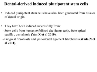 Dental-derived induced pluripotent stem cells
• Induced pluripotent stem cells have also been generated from tissues
of dental origin.
• They have been induced successfully from:
- Stem cells from human exfoliated deciduous teeth, from apical
papilla , dental pulp (Yan X et al 2010).
- Gingival fibroblasts and periodontal ligament fibroblasts (Wada N et
al 2011).
 