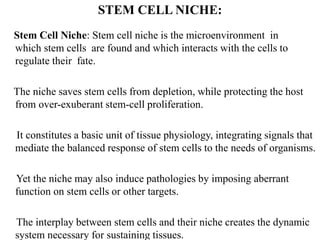 STEM CELL NICHE:
Stem Cell Niche: Stem cell niche is the microenvironment in
which stem cells are found and which interacts with the cells to
regulate their fate.
The niche saves stem cells from depletion, while protecting the host
from over-exuberant stem-cell proliferation.
It constitutes a basic unit of tissue physiology, integrating signals that
mediate the balanced response of stem cells to the needs of organisms.
Yet the niche may also induce pathologies by imposing aberrant
function on stem cells or other targets.
The interplay between stem cells and their niche creates the dynamic
system necessary for sustaining tissues.
 