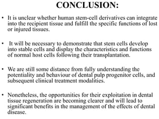 CONCLUSION:
• It is unclear whether human stem-cell derivatives can integrate
into the recipient tissue and fulfill the specific functions of lost
or injured tissues.
• It will be necessary to demonstrate that stem cells develop
into stable cells and display the characteristics and functions
of normal host cells following their transplantation.
• We are still some distance from fully understanding the
potentiality and behaviour of dental pulp progenitor cells, and
subsequent clinical treatment modalities.
• Nonetheless, the opportunities for their exploitation in dental
tissue regeneration are becoming clearer and will lead to
significant benefits in the management of the effects of dental
disease.
 
