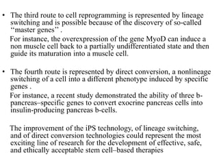 10.STEM CELLS.pptx