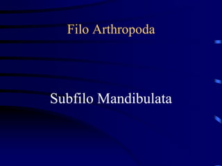 Filo Arthropoda
Subfilo Mandibulata
 