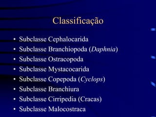 Classificação
• Subclasse Cephalocarida
• Subclasse Branchiopoda (Daphnia)
• Subclasse Ostracopoda
• Subclasse Mystacocarida
• Subclasse Copepoda (Cyclops)
• Subclasse Branchiura
• Subclasse Cirripedia (Cracas)
• Subclasse Malocostraca
 