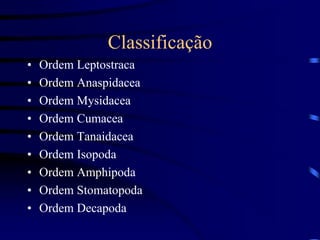 Classificação
• Ordem Leptostraca
• Ordem Anaspidacea
• Ordem Mysidacea
• Ordem Cumacea
• Ordem Tanaidacea
• Ordem Isopoda
• Ordem Amphipoda
• Ordem Stomatopoda
• Ordem Decapoda
 