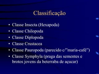 Classificação
• Classe Insecta (Hexapoda)
• Classe Chilopoda
• Classe Diplopoda
• Classe Crustacea
• Classe Pauropoda (parecido c/”maria-café”)
• Classe Symphyla (praga das sementes e
brotos jovens da beterraba de açucar)
 