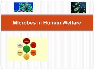 Microbes in Human Welfare
 