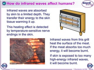 © Boardworks Ltd 2006
16 of 24
How do infrared waves affect humans?
Infrared waves are absorbed
by skin to a limited depth. They
transfer their energy to the skin
tissue warming it up.
Infrared waves from this grill
heat the surface of the meat.
If the meat absorbs too much
energy, it will become burnt.
If skin is exposed to too many
high-energy infrared waves,
it will become burnt.
This heating effect is detected
by temperature-sensitive nerve
endings in the skin.
 