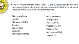• The essential elements, other than C, O and H, have been divided into
macronutrients (major nutrients) and micronutrients (trace elements)
because of the quantities that plants require.
Macronutrients
Iron(Fe)
Manganese (Mn)
Zinc(Zn)
Copper (Cu)
Boron(B)
Molybdenum(Mo)
Micronutrients
Nitrogen (N)
Potassium (K)
Phosphorus (P)
Calcium(Ca)
Magnesium(Mg)
Sulphur(S)
 