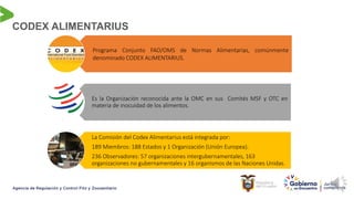 Programa Conjunto FAO/OMS de Normas Alimentarias, comúnmente
denominado CODEX ALIMENTARIUS.
Es la Organización reconocida ante la OMC en sus Comités MSF y OTC en
materia de inocuidad de los alimentos.
La Comisión del Codex Alimentarius está integrada por:
189 Miembros: 188 Estados y 1 Organización (Unión Europea).
236 Observadores: 57 organizaciones intergubernamentales, 163
organizaciones no gubernamentales y 16 organismos de las Naciones Unidas.
CODEX ALIMENTARIUS
 