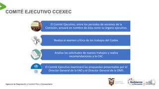 COMITÉ EJECUTIVO CCEXEC
El Comité Ejecutivo, entre los períodos de sesiones de la
Comisión, actuará en nombre de ésta como su órgano ejecutivo.
Realiza el examen crítico de los trabajos del Codex.
Analiza las solicitudes de nuevos trabajos y realiza
recomendaciones a la CAC.
El Comité Ejecutivo examinará las propuestas presentadas por el
Director General de la FAO y el Director General de la OMS.
 
