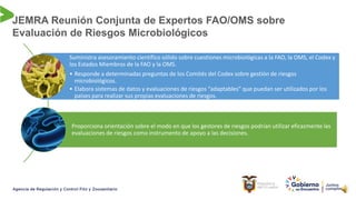 JEMRA Reunión Conjunta de Expertos FAO/OMS sobre
Evaluación de Riesgos Microbiológicos
Suministra asesoramiento científico sólido sobre cuestiones microbiológicas a la FAO, la OMS, el Codex y
los Estados Miembros de la FAO y la OMS.
• Responde a determinadas preguntas de los Comités del Codex sobre gestión de riesgos
microbiológicos.
• Elabora sistemas de datos y evaluaciones de riesgos “adaptables” que puedan ser utilizados por los
países para realizar sus propias evaluaciones de riesgos.
Proporciona orientación sobre el modo en que los gestores de riesgos podrían utilizar eficazmente las
evaluaciones de riesgos como instrumento de apoyo a las decisiones.
 