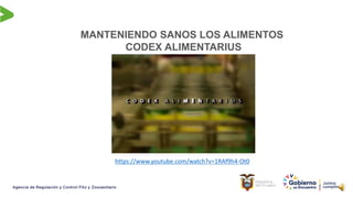 MANTENIENDO SANOS LOS ALIMENTOS
CODEX ALIMENTARIUS
https://www.youtube.com/watch?v=1RAf9h4-Ot0
 