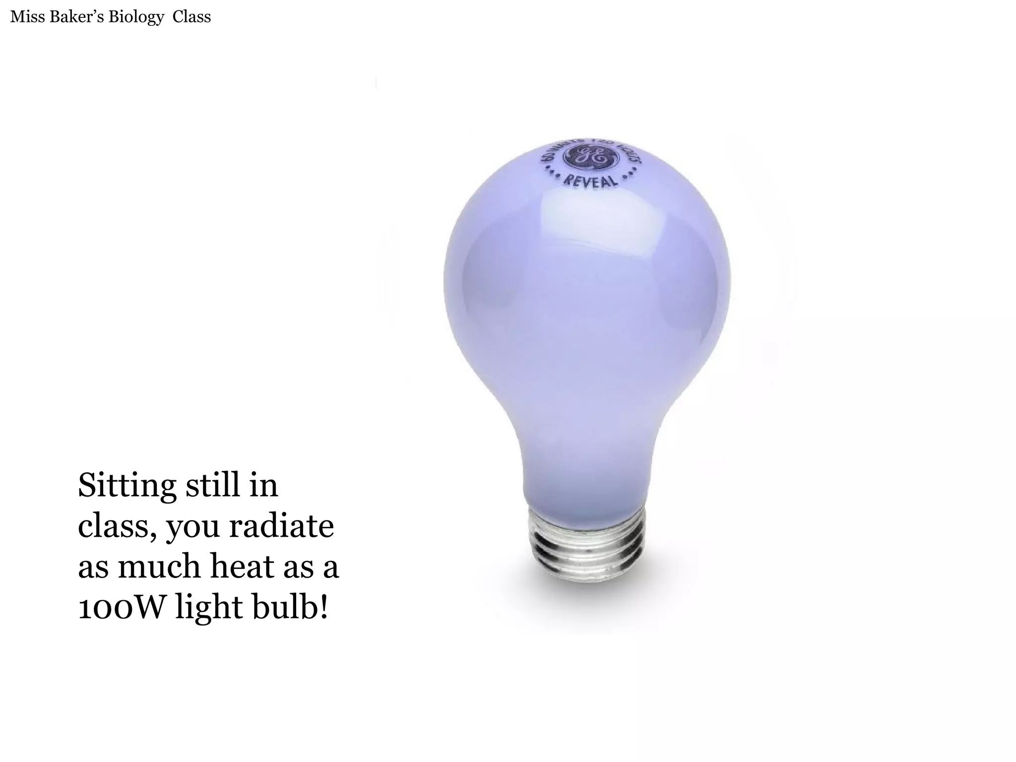 Sitting still in class, you radiate as much heat as a 100W light bulb! 