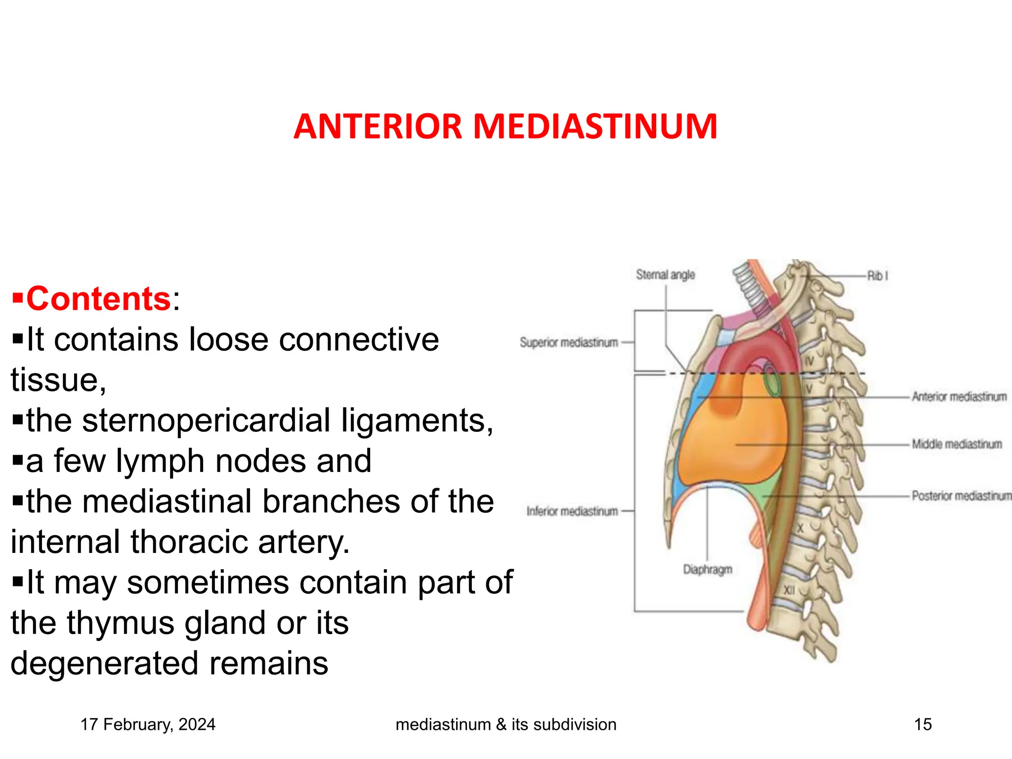 10. ANATOMY OF THE MEDIASTINUM MATERIAL.pptx | Death, Injury, or ...