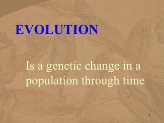EVOLUTION
Is a genetic change in a
population through time
1
 