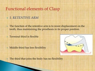  1. RETENTIVE ARM
 The function of the retentive arm is to resist displacement on the
tooth, thus maintaining the prosthesis in its proper position.
 Terminal third is flexible
 Middle third has less flexibility
 The third that joins the body has no flexibility
 