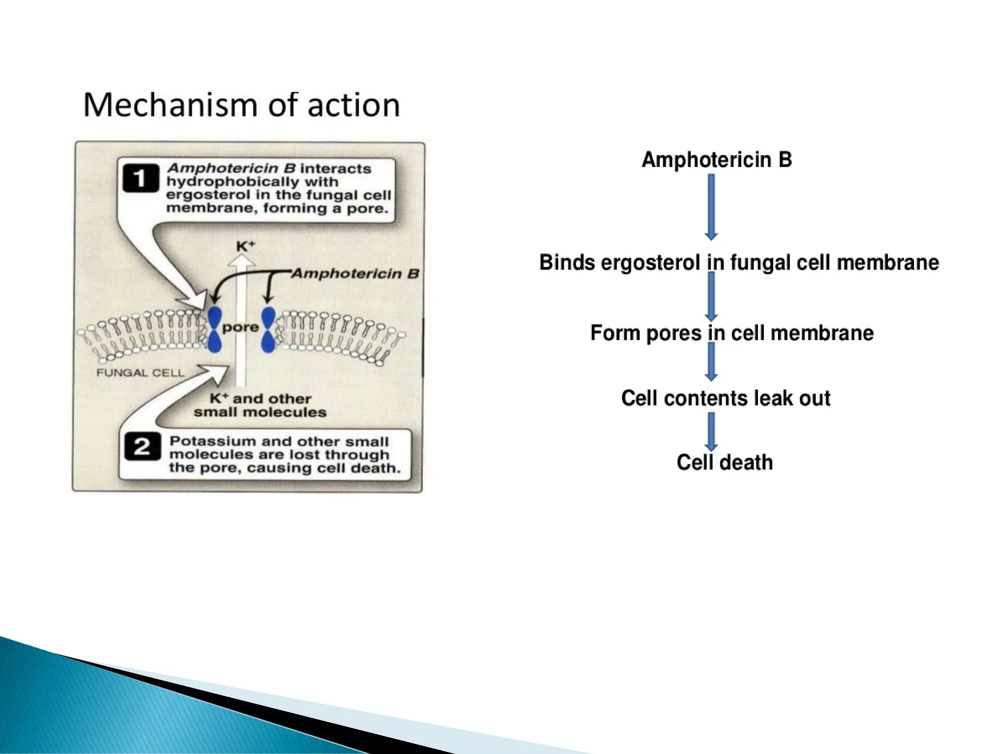 Classification visual data 4