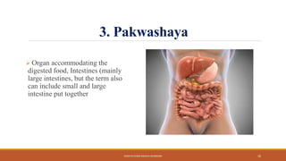 3. Pakwashaya
 Organ accommodating the
digested food, Intestines (mainly
large intestines, but the term also
can include small and large
intestine put together
KOSHTA EVAM ASHAYA SHAREERA 10
 