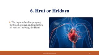 6. Hrut or Hridaya
 The organ related to pumping
the blood, oxygen and nutrients to
all parts of the body, the Heart
KOSHTA EVAM ASHAYA SHAREERA 15
 