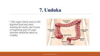 7. Unduka
 The organ which receives the
digested food and starts
forming the stools, the Cecum
or beginning part of Large
intestine should be taken as
Unduka
KOSHTA EVAM ASHAYA SHAREERA 17
 