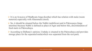  It is an Avayava of Madhyam Anga (kostha) which has relation with mala (waste
material) especially with Aharamala (stool).
 So, it should be situated below the Nabhi (umbilicus) and in Pakwasaya (large
intestine) because Nabhi is defined as place of Agni and below this, discrimination of
food starts in Pakwashaya.
 According to Dalhana’s opinion, Unduka is situated in the Pakwashaya and provides
storage place for the separated mala(which was separated from the rest part).
KOSHTA EVAM ASHAYA SHAREERA 18
 