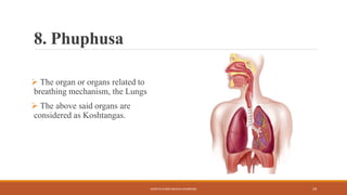 8. Phuphusa
 The organ or organs related to
breathing mechanism, the Lungs
 The above said organs are
considered as Koshtangas.
KOSHTA EVAM ASHAYA SHAREERA 19
 