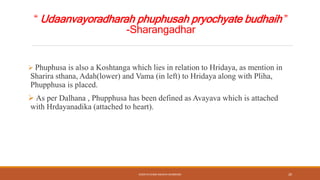 “ Udaanvayoradharah phuphusah pryochyate budhaih ”
-Sharangadhar
 Phuphusa is also a Koshtanga which lies in relation to Hridaya, as mention in
Sharira sthana, Adah(lower) and Vama (in left) to Hridaya along with Pliha,
Phupphusa is placed.
 As per Dalhana , Phupphusa has been defined as Avayava which is attached
with Hrdayanadika (attached to heart).
KOSHTA EVAM ASHAYA SHAREERA 20
 