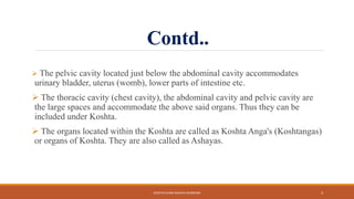 Contd..
 The pelvic cavity located just below the abdominal cavity accommodates
urinary bladder, uterus (womb), lower parts of intestine etc.
 The thoracic cavity (chest cavity), the abdominal cavity and pelvic cavity are
the large spaces and accommodate the above said organs. Thus they can be
included under Koshta.
 The organs located within the Koshta are called as Koshta Anga's (Koshtangas)
or organs of Koshta. They are also called as Ashayas.
KOSHTA EVAM ASHAYA SHAREERA 3
 