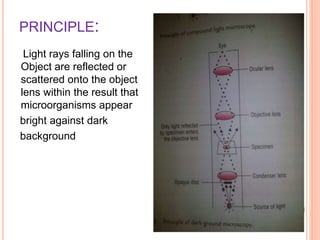 PRINCIPLE:
Light rays falling on the
Object are reflected or
scattered onto the object
lens within the result that
microorganisms appear
bright against dark
background
 
