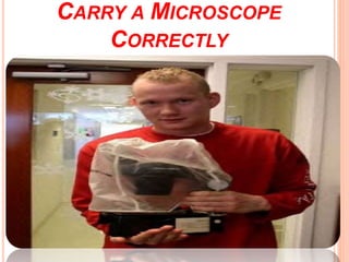 CARRY A MICROSCOPE
CORRECTLY
29
Dr.T.V.Rao
MD
 